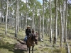 Boulder Bedroll and Breakfast Horse Trip