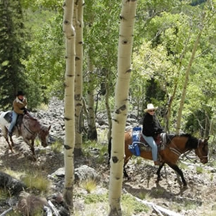 Boulder Mountain Rod and Ride