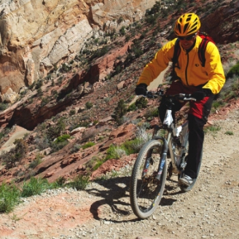 Full Suspension Bike Rental