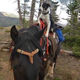 Half Day Ride