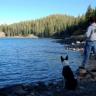 Guided Fly Fishing/ATV Boulder Mountain Lakes full day